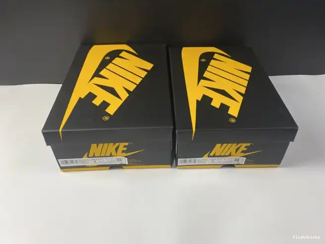 Retro Jordan Pollen OG 555088-701 Air High 1 0502